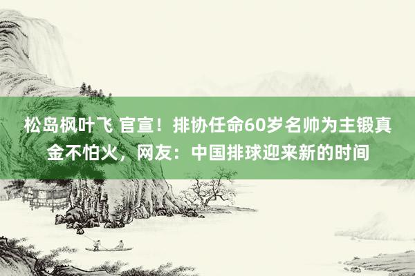 松岛枫叶飞 官宣！排协任命60岁名帅为主锻真金不怕火，网友：中国排球迎来新的时间