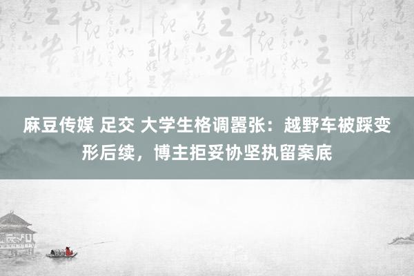 麻豆传媒 足交 大学生格调嚣张：越野车被踩变形后续，博主拒妥协坚执留案底