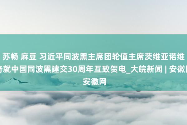 苏畅 麻豆 习近平同波黑主席团轮值主席茨维亚诺维奇就中国同波黑建交30周年互致贺电_大皖新闻 | 安徽网