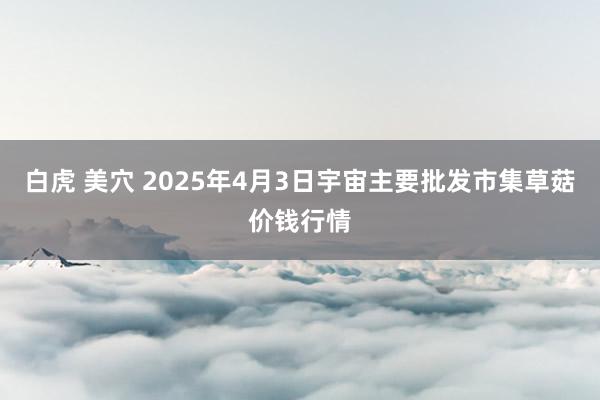 白虎 美穴 2025年4月3日宇宙主要批发市集草菇价钱行情
