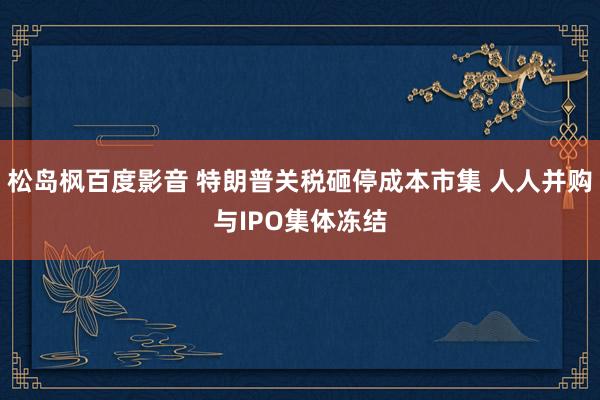 松岛枫百度影音 特朗普关税砸停成本市集 人人并购与IPO集体冻结