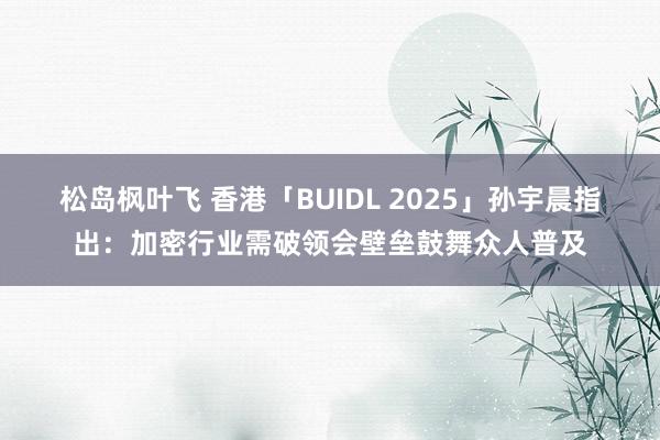 松岛枫叶飞 香港「BUIDL 2025」孙宇晨指出：加密行业需破领会壁垒鼓舞众人普及