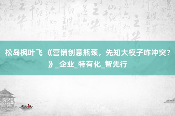 松岛枫叶飞 《营销创意瓶颈，先知大模子咋冲突？》_企业_特有化_智先行