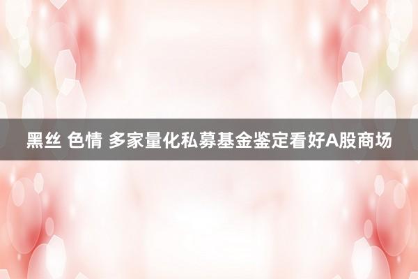 黑丝 色情 多家量化私募基金鉴定看好A股商场