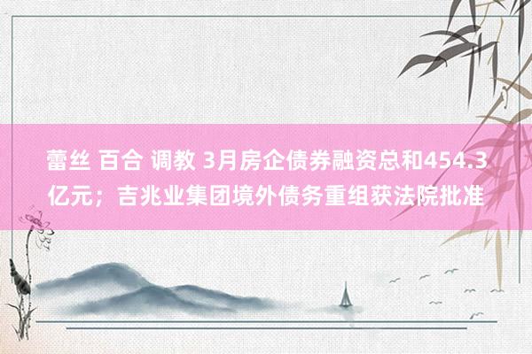蕾丝 百合 调教 3月房企债券融资总和454.3亿元；吉兆业集团境外债务重组获法院批准