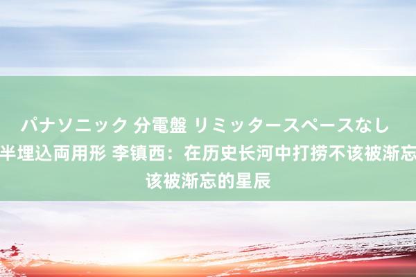 パナソニック 分電盤 リミッタースペースなし 露出・半埋込両用形 李镇西：在历史长河中打捞不该被渐忘的星辰