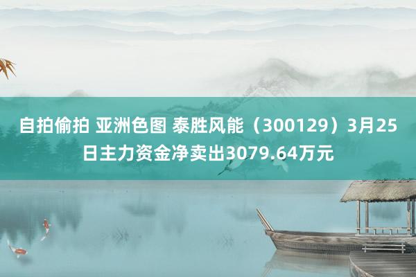 自拍偷拍 亚洲色图 泰胜风能（300129）3月25日主力资金净卖出3079.64万元