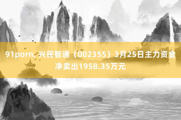 91porn. 兴民智通（002355）3月25日主力资金净卖出1958.35万元
