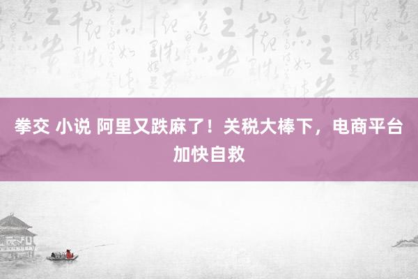 拳交 小说 阿里又跌麻了！关税大棒下，电商平台加快自救