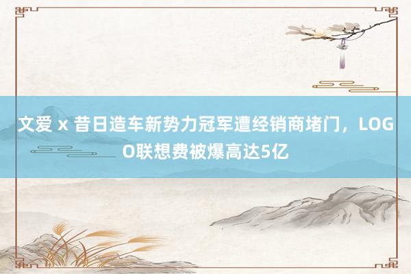 文爱 x 昔日造车新势力冠军遭经销商堵门，LOGO联想费被爆高达5亿