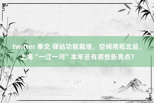 twitter 拳交 驿站功能栽培，空间南拓北延，上海“一江一河”本年还有哪些新亮点？