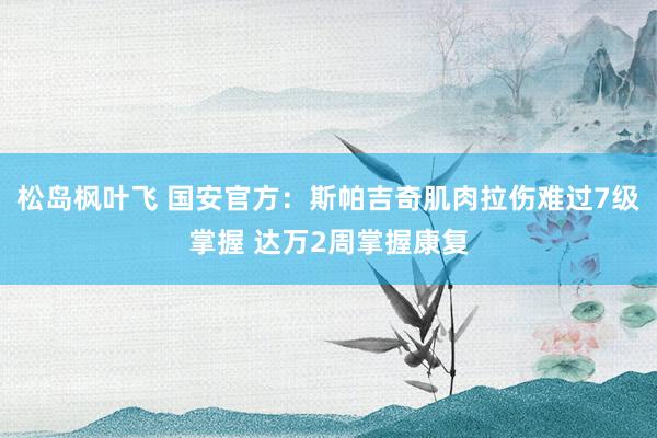 松岛枫叶飞 国安官方：斯帕吉奇肌肉拉伤难过7级掌握 达万2周掌握康复