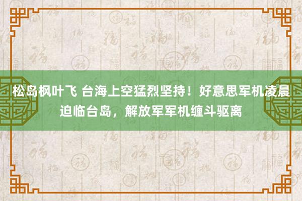 松岛枫叶飞 台海上空猛烈坚持！好意思军机凌晨迫临台岛，解放军军机缠斗驱离