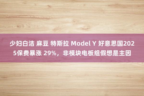 少妇白洁 麻豆 特斯拉 Model Y 好意思国2025保费暴涨 29%，非模块电板组假想是主因