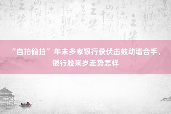 “自拍偷拍” 年末多家银行获伏击鼓动增合手，银行股来岁走势怎样