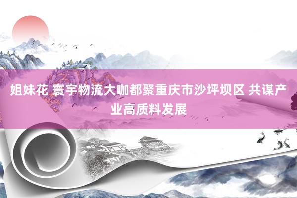 姐妹花 寰宇物流大咖都聚重庆市沙坪坝区 共谋产业高质料发展