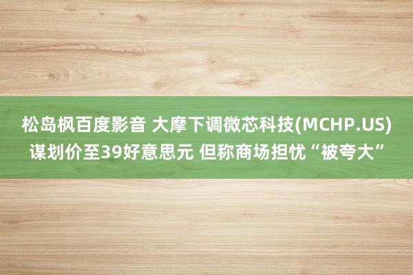 松岛枫百度影音 大摩下调微芯科技(MCHP.US)谋划价至39好意思元 但称商场担忧“被夸大”