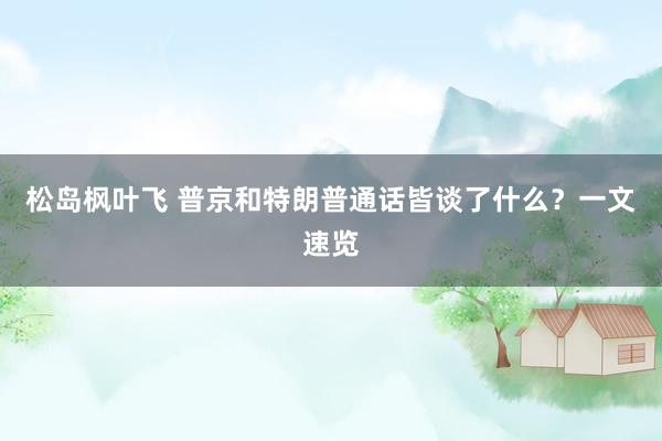 松岛枫叶飞 普京和特朗普通话皆谈了什么？一文速览
