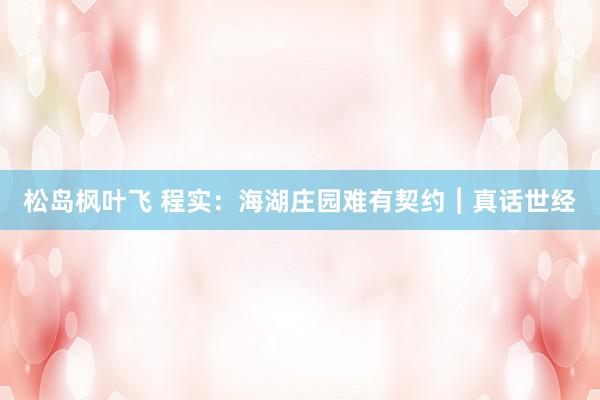 松岛枫叶飞 程实：海湖庄园难有契约︱真话世经