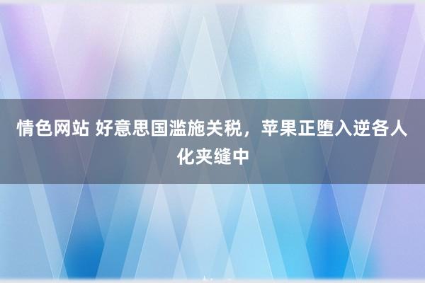 情色网站 好意思国滥施关税，苹果正堕入逆各人化夹缝中