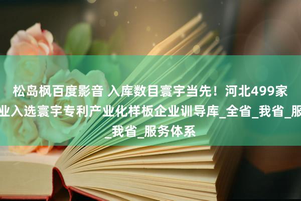 松岛枫百度影音 入库数目寰宇当先！河北499家中小企业入选寰宇专利产业化样板企业训导库_全省_我省_服务体系